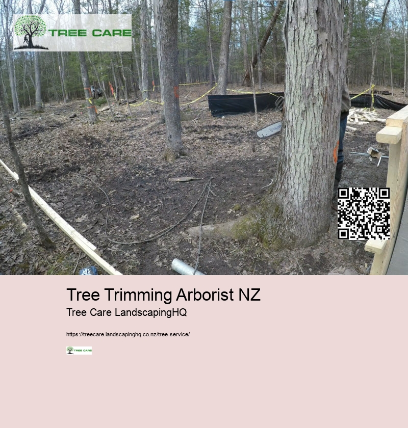 Land Clearing Auckland