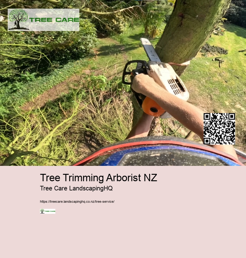 Tree Services Whangarei