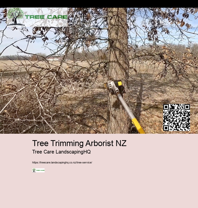 Tree Trimming Chch