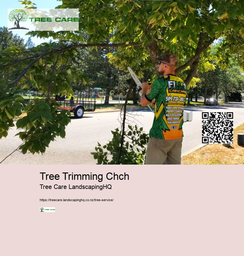 Arborist Cost NZ