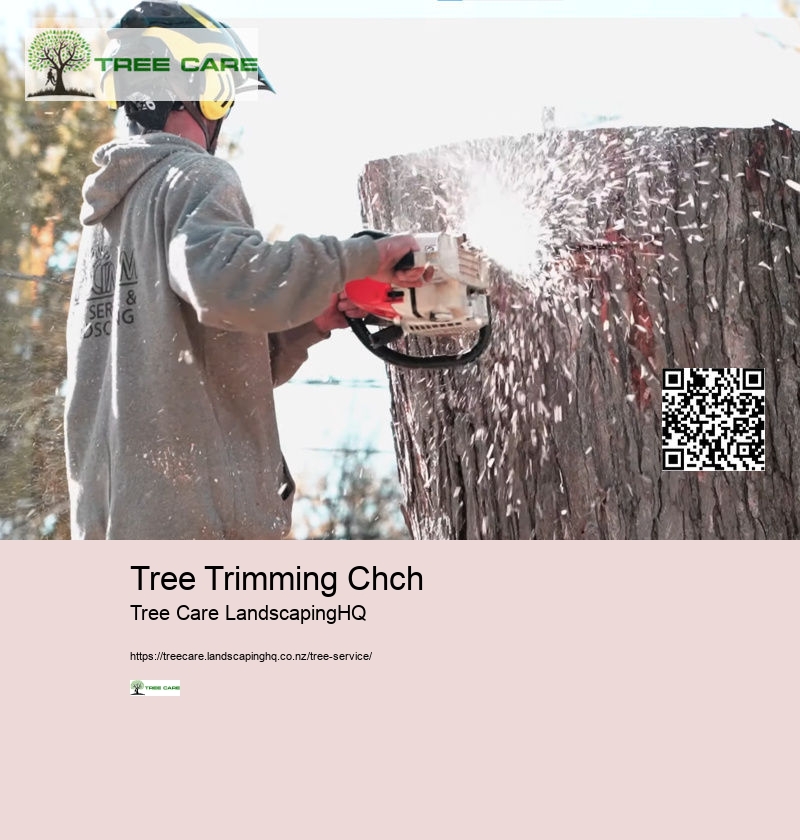 Arborist Lower Hutt