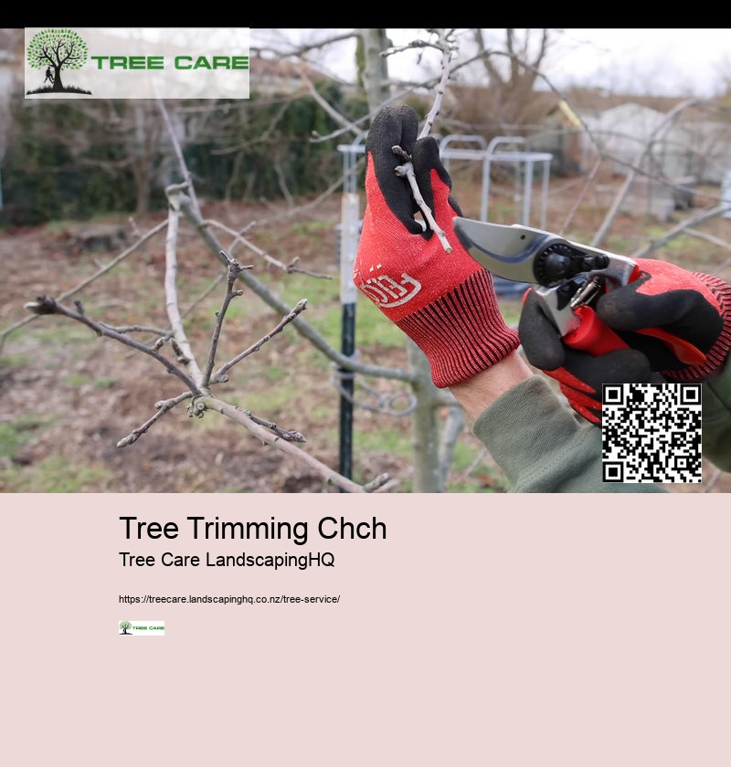 Tree Care Southern Lakes