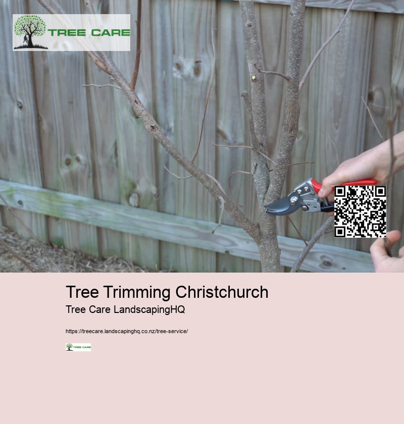 NZ Arborist