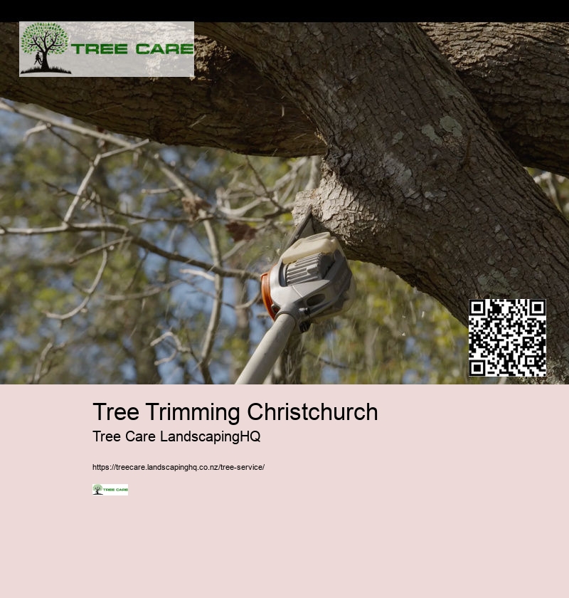 Arborist Chch