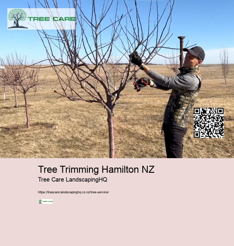 Tree Care Companies