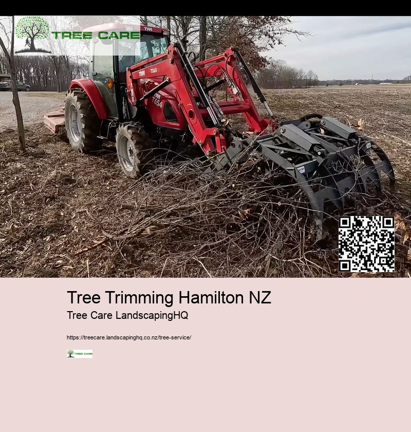 Stump Grinding Wellington NZ