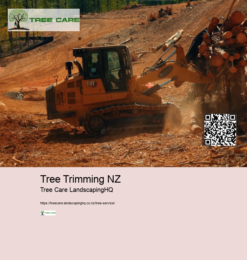 Tree Trimming NZ