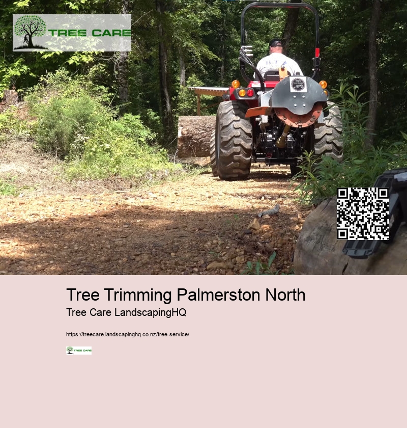 Arborist Chch NZ