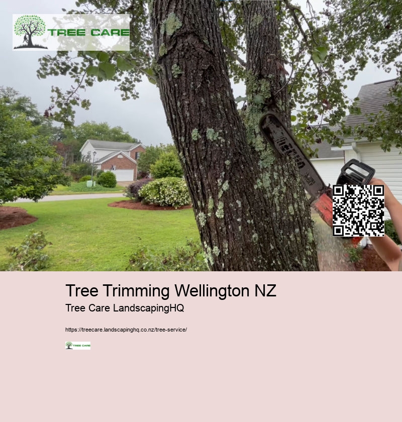 Arborist Auckland North Shore