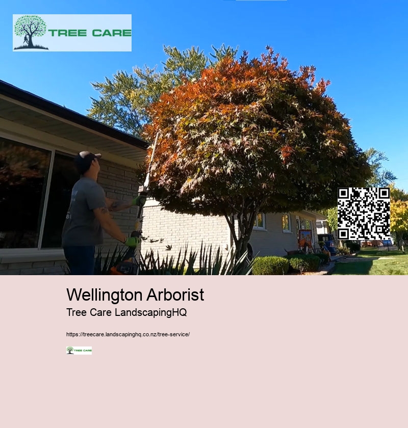 Apricot Tree Care NZ