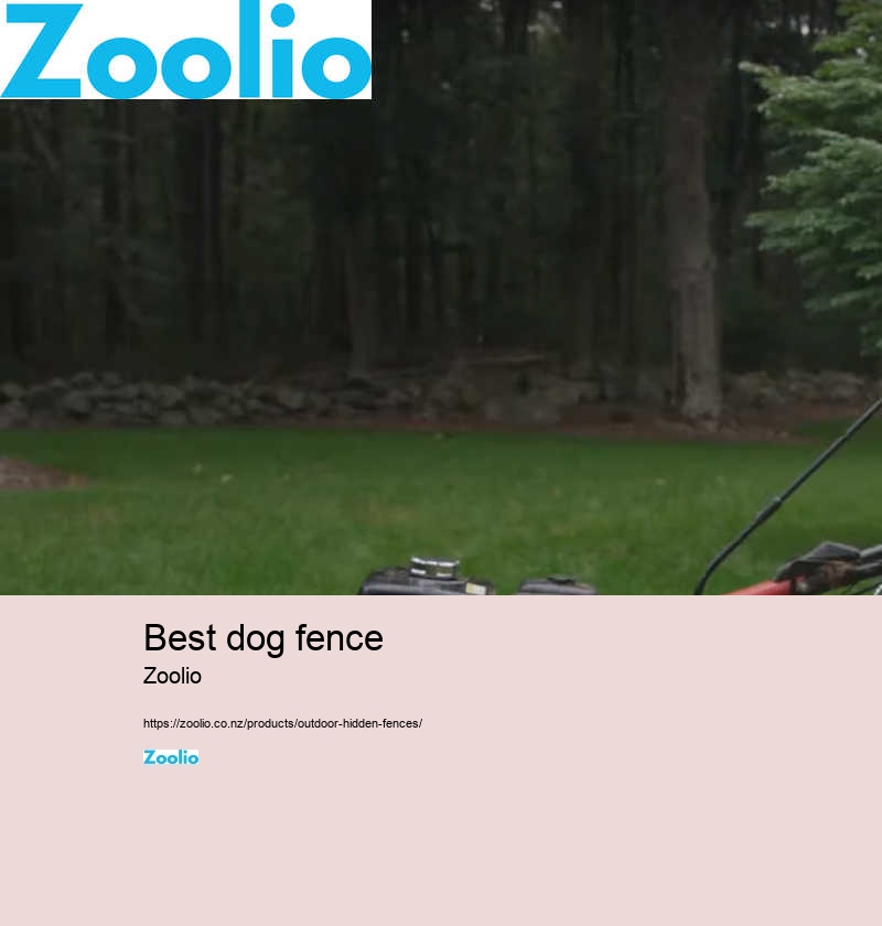 build your own dog fence