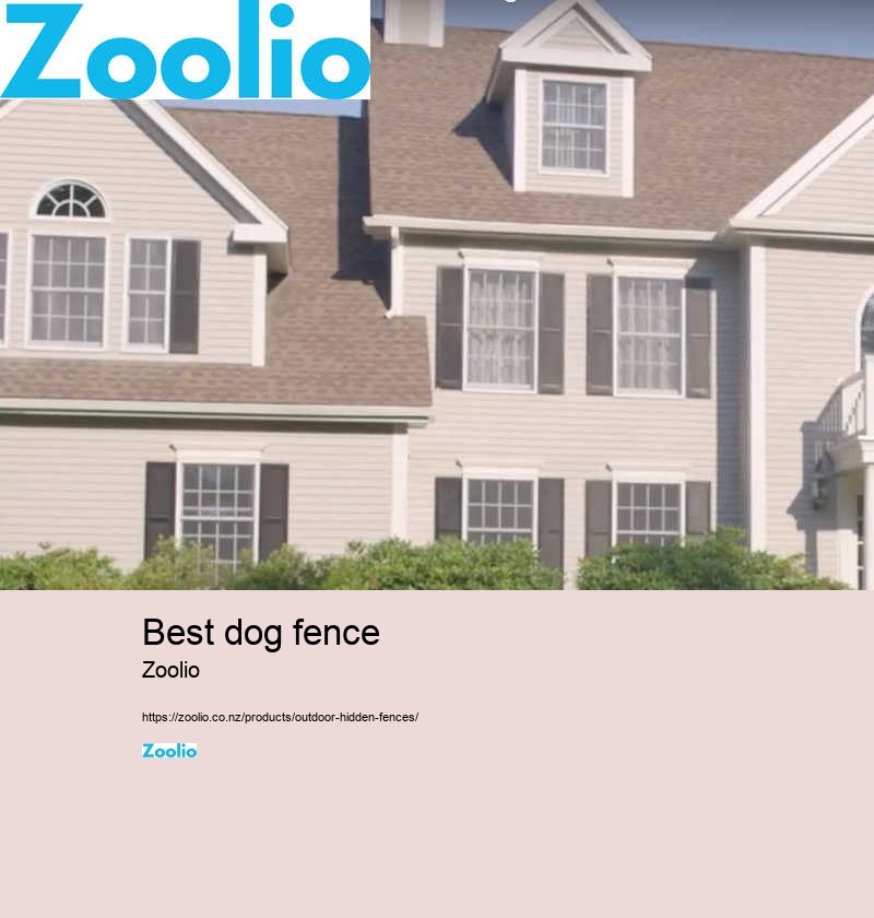 best dog fence