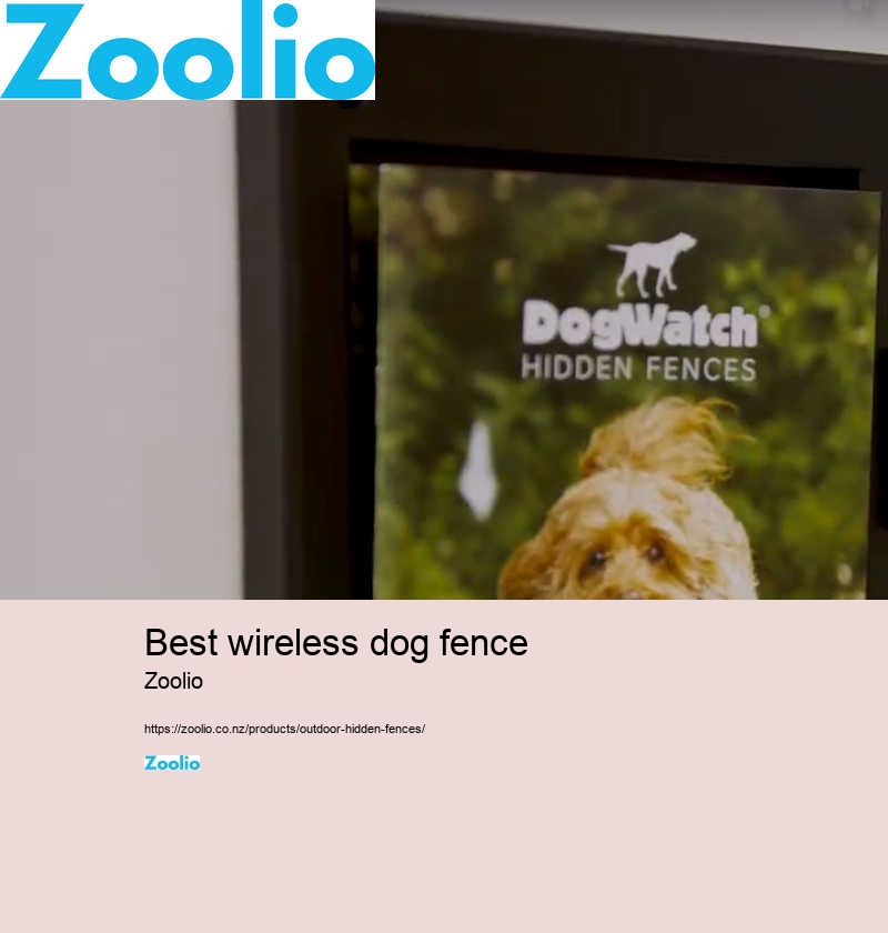 best wireless dog fence