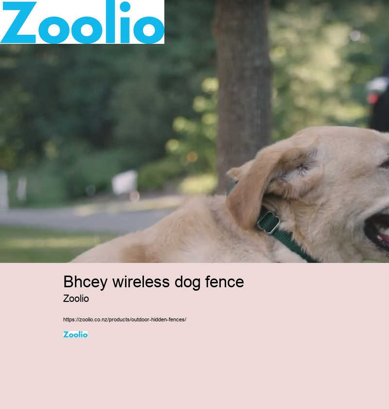 bhcey wireless dog fence