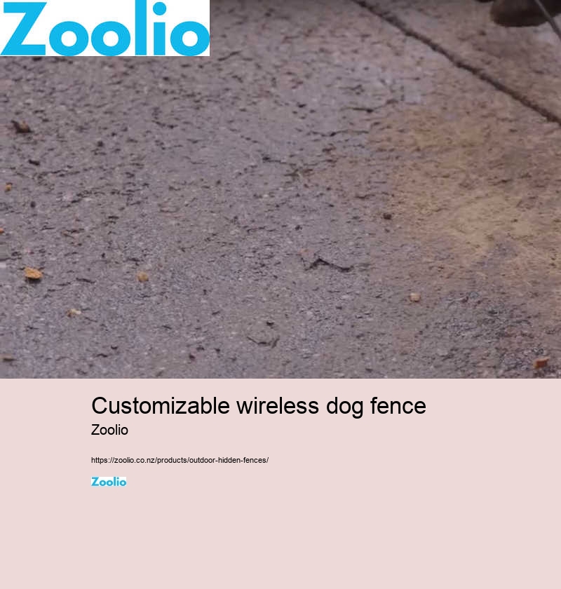 portable dog fence