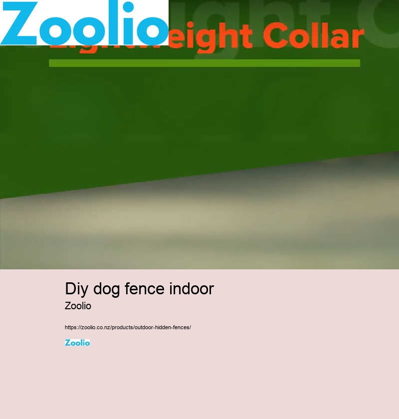 diy dog fence indoor