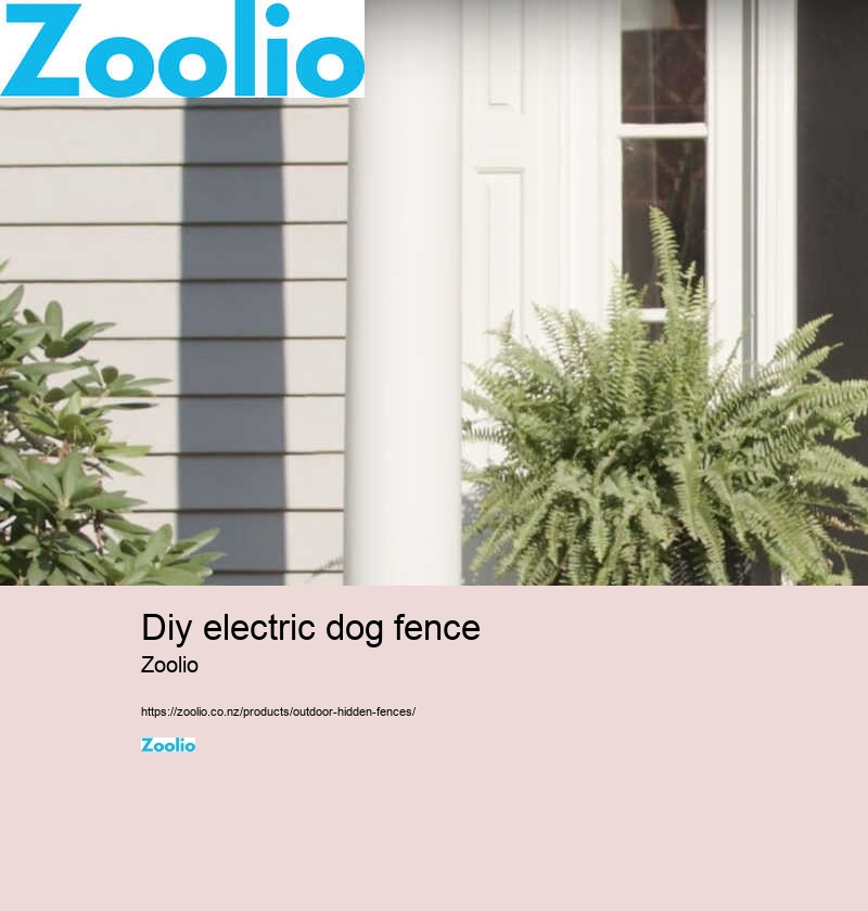 electric dog fence installation