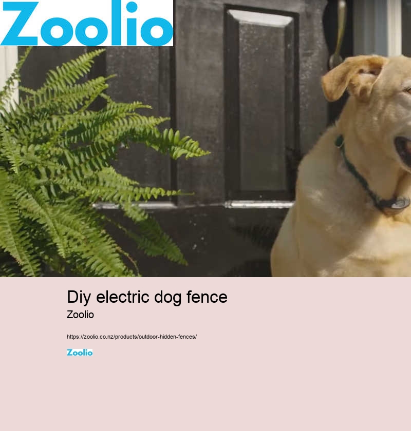 build your own dog fence