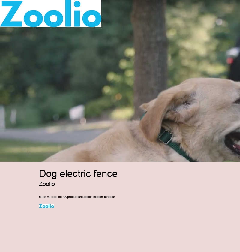 dog electric fence