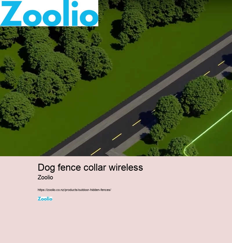 dog fence collar wireless