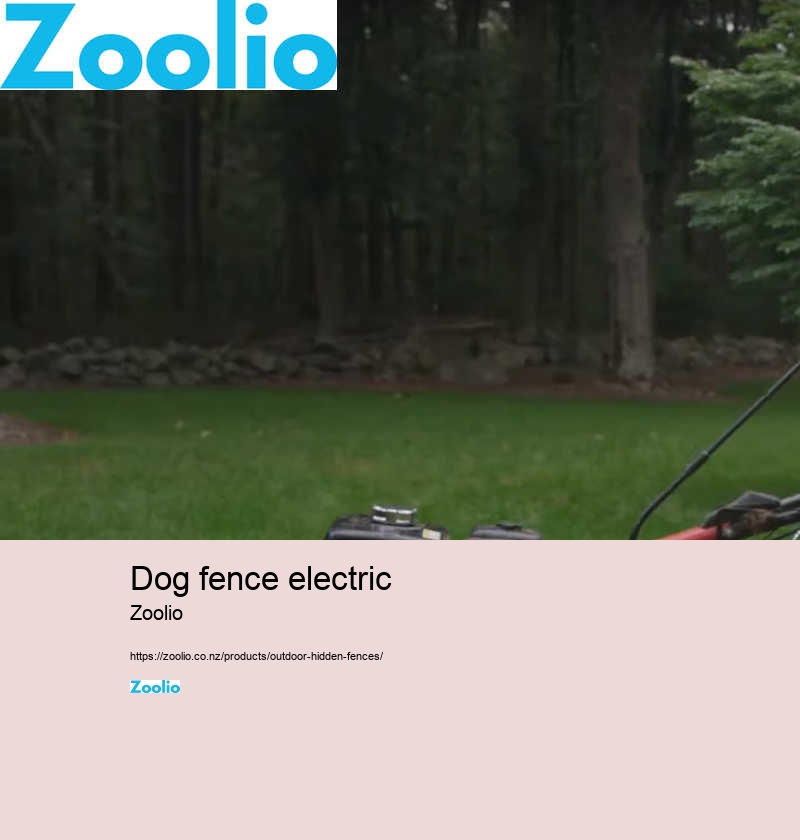 best electric dog fence