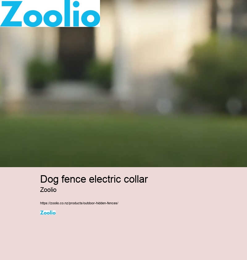 cost of electric dog fence