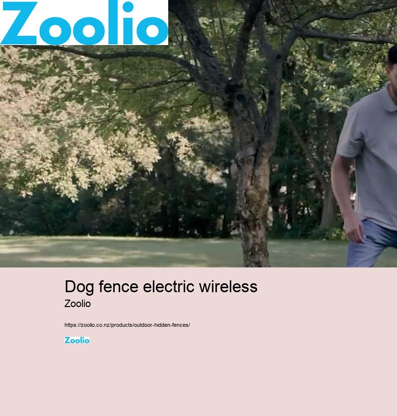 dog fence electric wireless