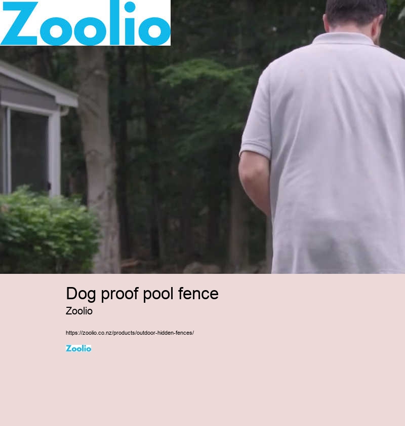 dog fencing nz