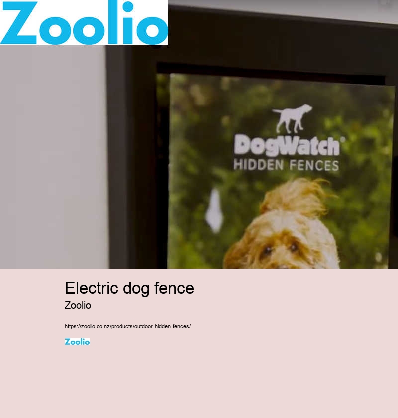 customizable wireless dog fence