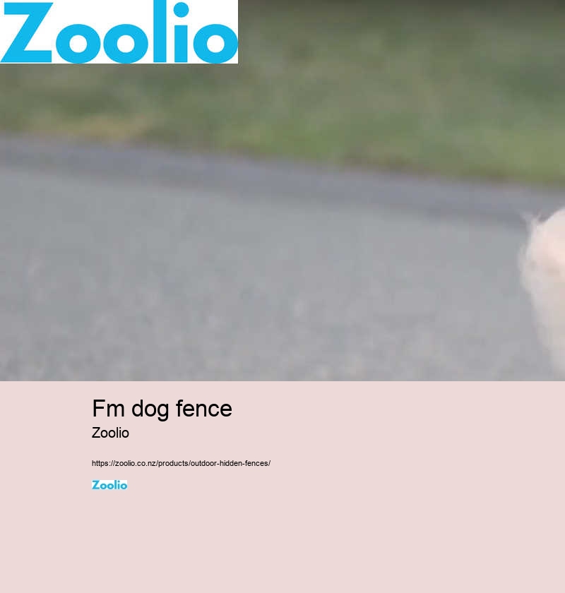 fm dog fence