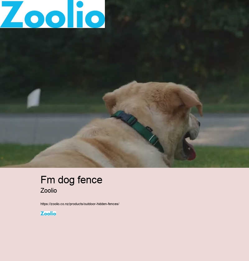 fm dog fence