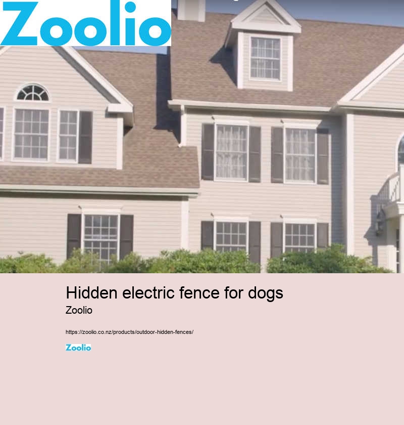 hidden electric fence for dogs