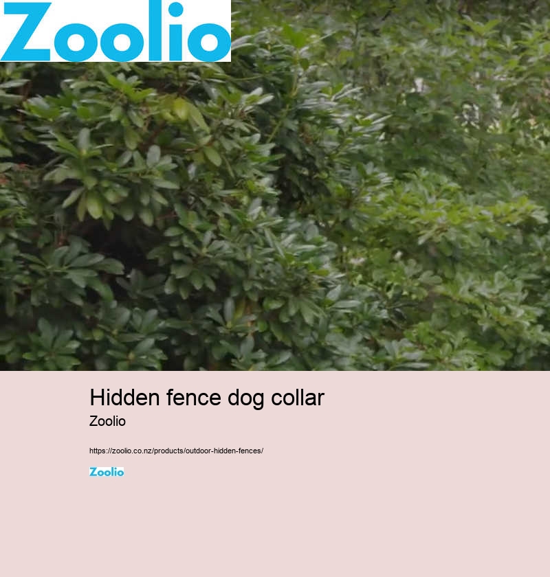 hidden dog fence company