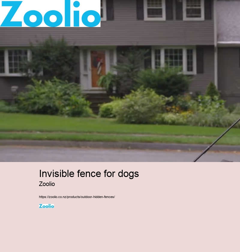 invisible fence for dogs