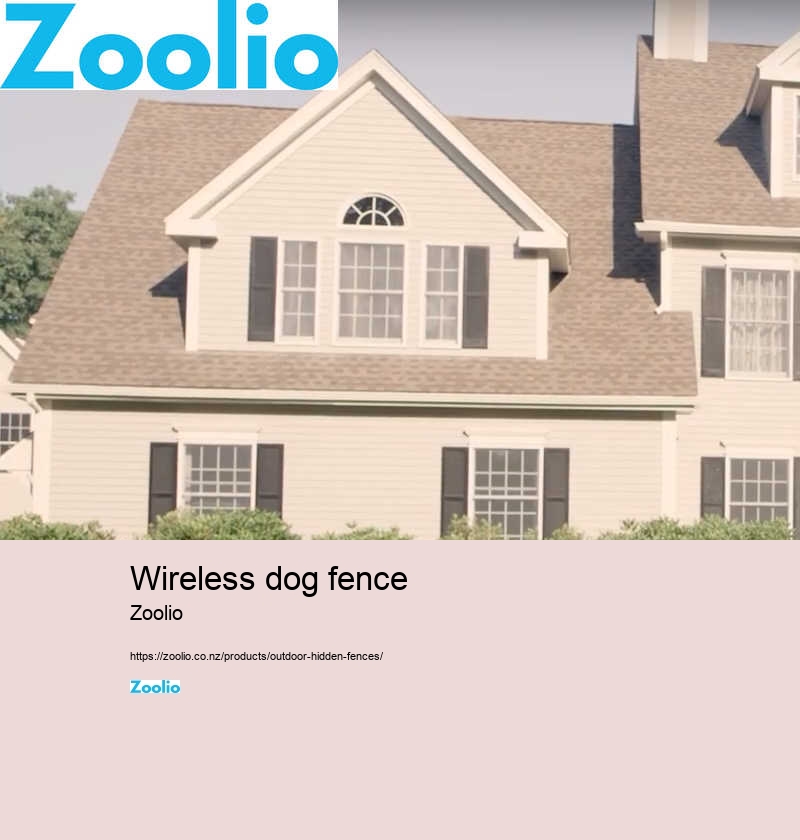 wireless dog fence