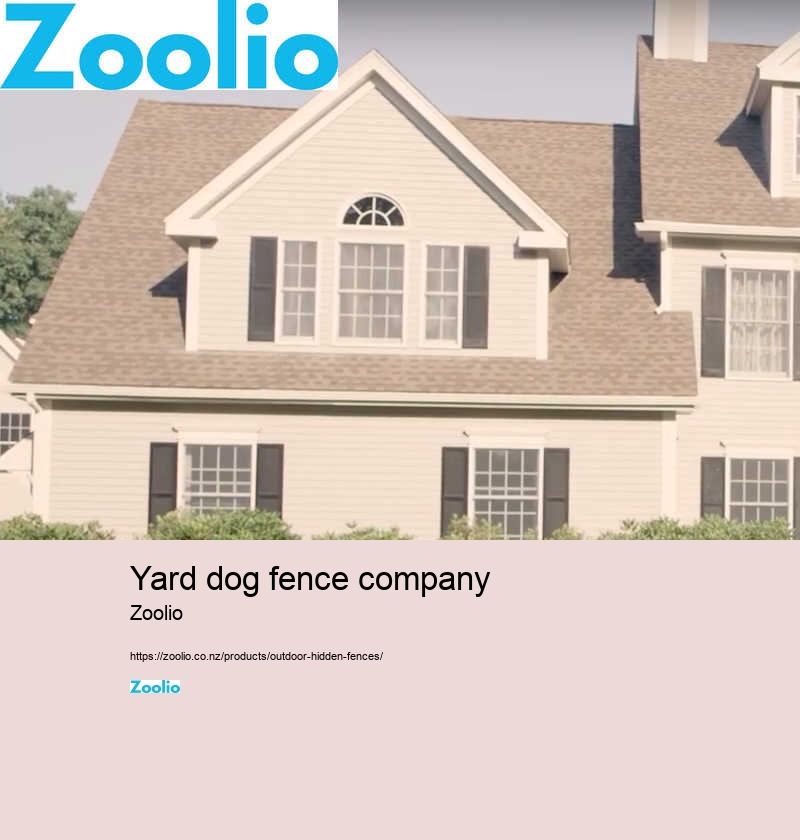 dog fence company near me